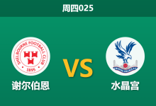 2025年12月11日 周四025 欧协联:谢尔伯恩vs水晶宫:豪门轮换遇上“生锈”防线,一场经济实惠的攻防演练?-足球赛事前瞻 | AI 智能分析 | 足球数据解读 - 球小智
